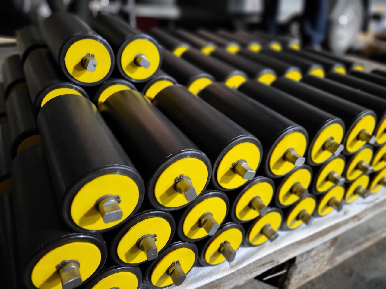Ролики DS-Roller легкої серії